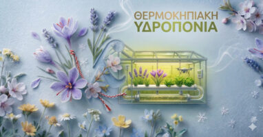 Θερμοκηπιακή υδροπονία: Αποτελεί άραγε ένα νέο παραγωγικό αφήγημα για τη Δυτική Μακεδονία;